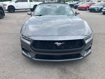 2025 Ford Mustang EcoBoost